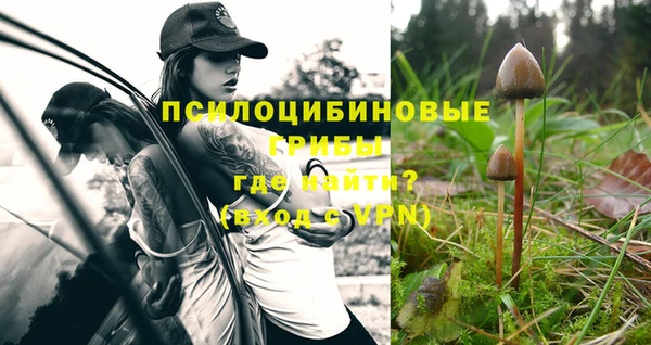 сатива Абдулино