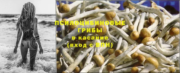 сатива Абдулино